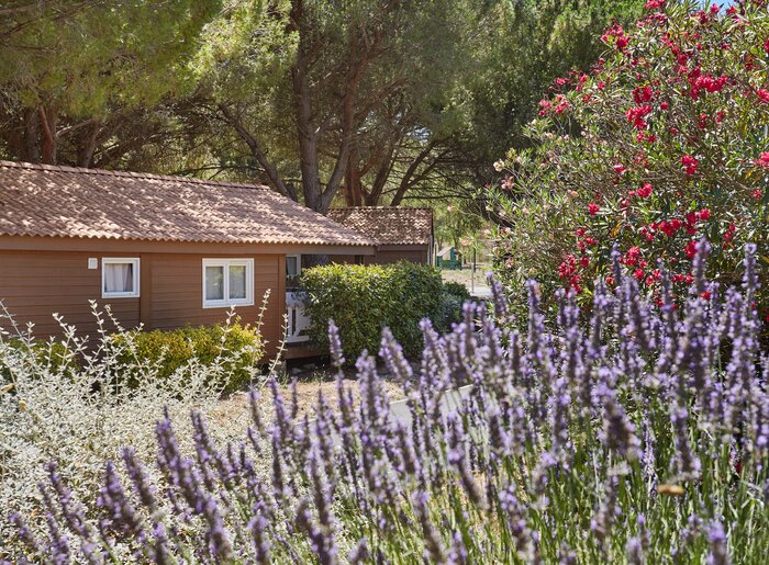 location-carnoux-residence-odalys-shangri-la-10