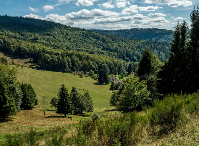 camping-la-foret-klingenthal-alsace-3