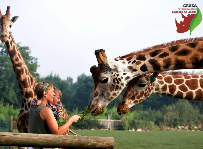 ZOO DE CERZA