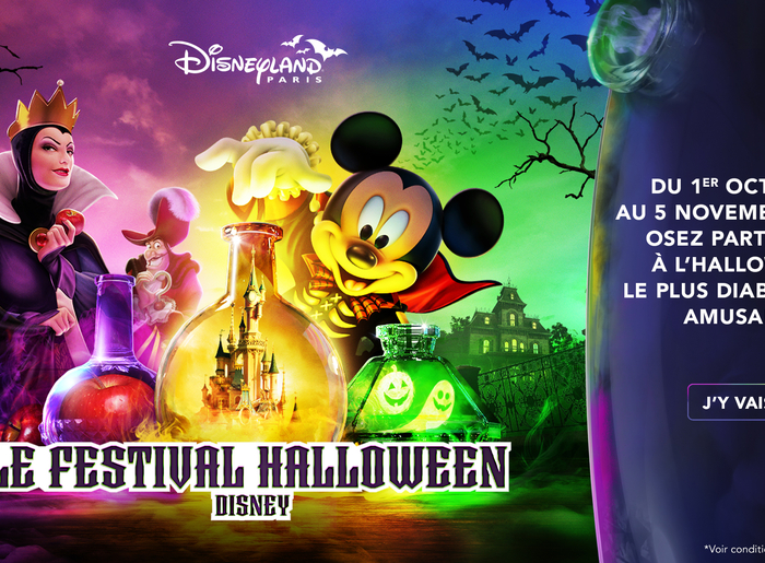 DISNEYLAND PARIS - BILLET FLEX 2023