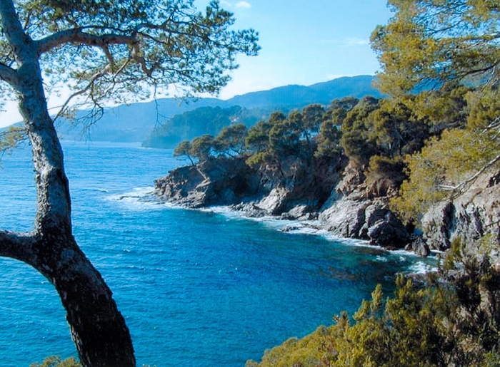 2 Pièces 5/6 Pers. à louer à SAINTE-MAXIME