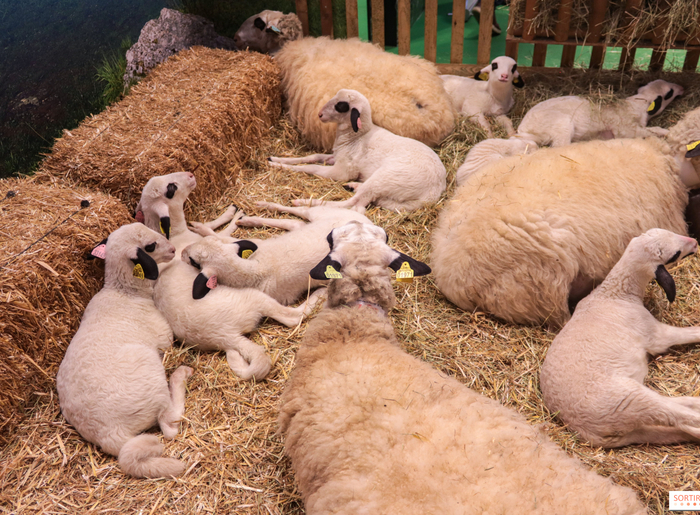 859009-salon-de-l-agriculture-2023-20230227155221-img-3924-1